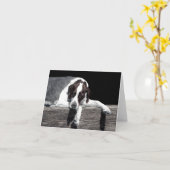 "Sophie" - Englische Pointer Card Karte (Gelbe Blume)