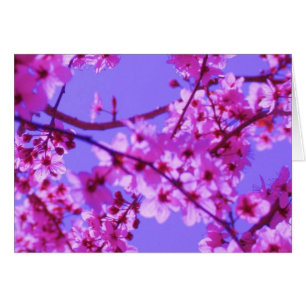 Sophie Karten-Schablone