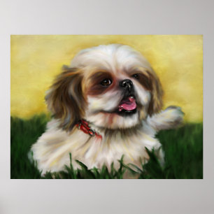 Sophie Shih Tzu Poster