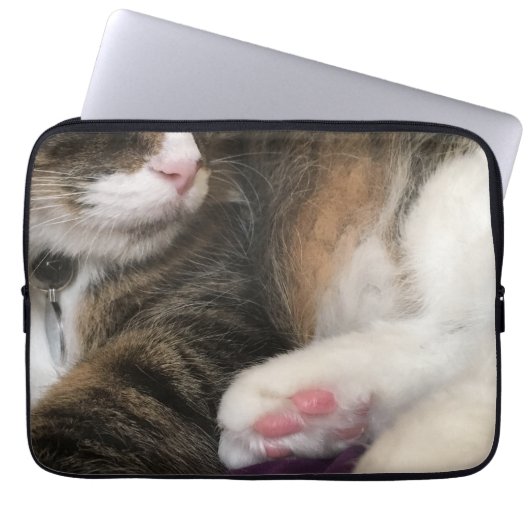 Sophie Up Nah Laptopschutzhülle (Vorderseite)