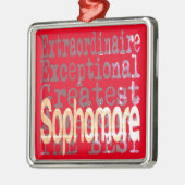 Sophomore Extraordinaire Ornament Aus Metall (Links)