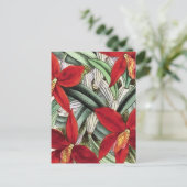 "Sophronitis Grandiflora" Postkarte (Stehend Vorderseite)