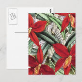 "Sophronitis Grandiflora" Postkarte (Vorne/Hinten)