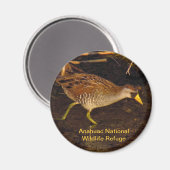 Sora Magnet (Vorderseite/Rückseite)