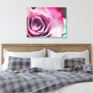 Sorbet Stretched Canvas Print Leinwanddruck