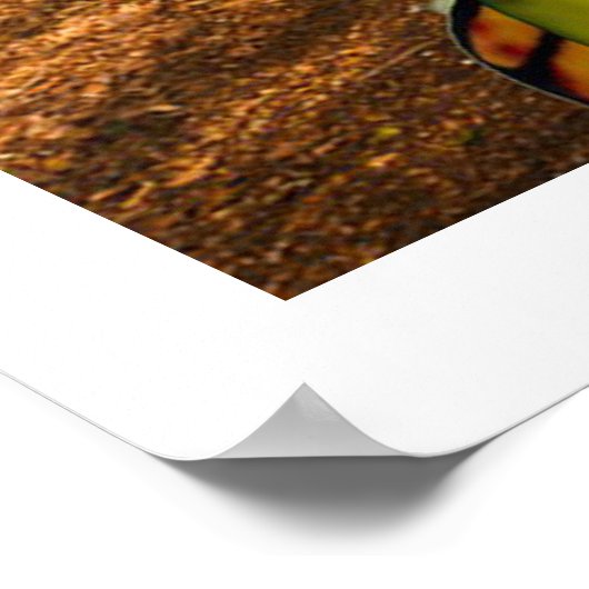 Sorcha (Print) Poster (Ecke)