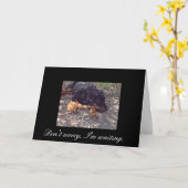 Sorgen Sie sich nicht mich warten Karte (Gelbe Blume)