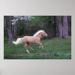 Sorgfalt gibt frei poster