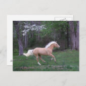 Sorgfalt gibt frei postkarte (Vorne/Hinten)