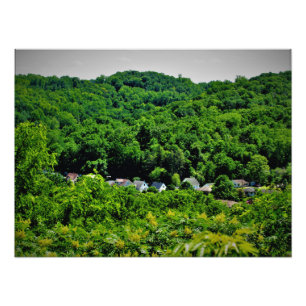 Sorins Roots Fotodruck