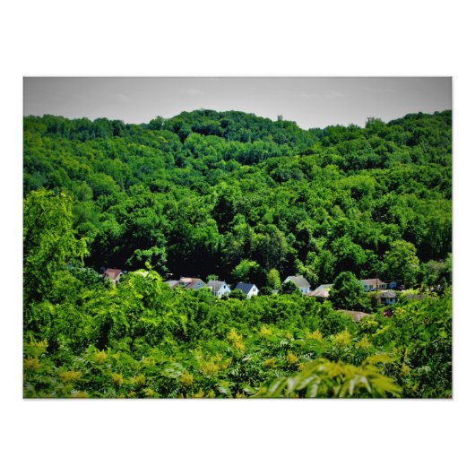 Sorins Roots Fotodruck (Vorne)