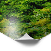 Sorins Roots Fotodruck (Ecke)