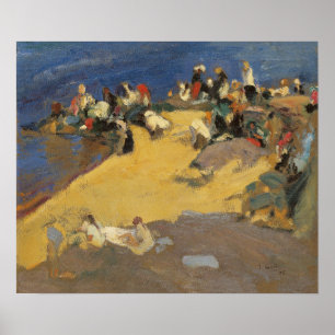 Sorolla - Bachstelzen in Galicien Poster