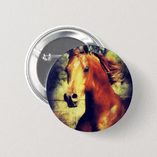 Sorrel Arabian Button (Vorne & Hinten)