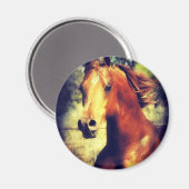 Sorrel Arabian Magnet (Vorderseite/Rückseite)