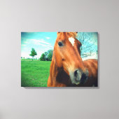 Sorrel Gelding Canvas Print Leinwanddruck (Vorderseite)