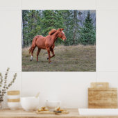 Sorrel Leader Mare Horse Liebhaber Equine Foto Poster (Küche)