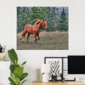 Sorrel Leader Mare Horse Liebhaber Equine Foto Poster (Heimbüro)