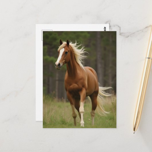 Sorrel mit Flaxen und Schwanz Postkarte (Vorderseite/Rückseite Beispiel)