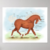 Sorrel mit Socken & Blaze Horse Anatomie Poster (Vorne)