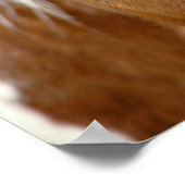 Sorrel Pferd Poster (Ecke)