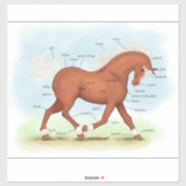 Sorrel Pferde oder Pony Equine Anatomie Chart Stic Aufkleber (Blatt)