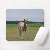 Sorrel Tobiano Paint Horse Mousepad (Mit Mouse)