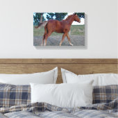 Sorrel Yearling Leinwanddruck (Insitu (Schlafzimmer))