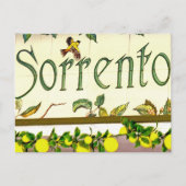 Sorrento, Italien, Zeichen Postkarte (Vorderseite)