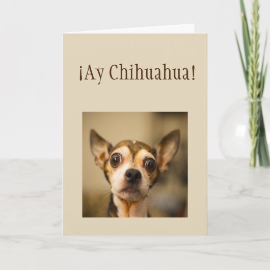 Sorry ¡Ay Chihuahua! Fun Chihuahua Dog Karte (Vorderseite)
