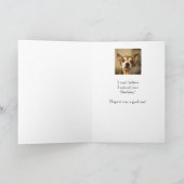 Sorry Belated Birthday Fun Chihuahua Dog Karte (Innenseite)