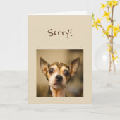 Sorry Belated Birthday Fun Chihuahua Dog Karte (Gelbe Blume)