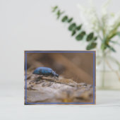 Sorry, BUG Sie ! Postkarte (Stehend Vorderseite)