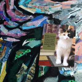 Sorry Calico Kitten Postkarte