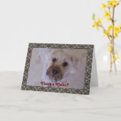 Sorry card Guilty Schnauzer Karte (Gelbe Blume)