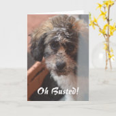 Sorry Card Karte (Gelbe Blume)
