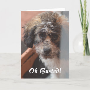 Sorry Card Karte