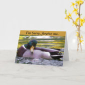 Sorry_ Card Karte (Gelbe Blume)