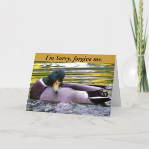 Sorry_ Card Karte