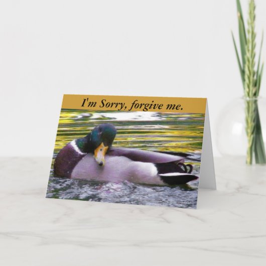 Sorry_ Card Karte (Vorderseite)