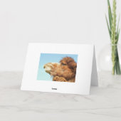 Sorry - Card Karte (Rückseite)