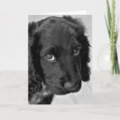 Sorry Card Karte (Vorderseite)