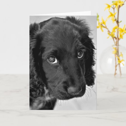 Sorry Card Karte (Gelbe Blume)