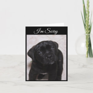 Sorry Card - Mastiff Puppy Karte