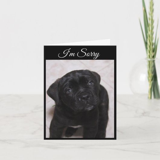 Sorry Card - Mastiff Puppy Karte (Vorderseite)