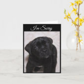 Sorry Card - Mastiff Puppy Karte (Gelbe Blume)