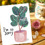 Sorry Condolences Calathea Gebet Pflanze Wasserfar Postkarte<br><div class="desc">Karo aus dieser farbenfrohen Aquarell Kalathea-Pflanze. Sie können den Text behalten oder löschen und Ihren eigenen hinzufügen! Besuchen Sie meinen Shop für mehr!</div>