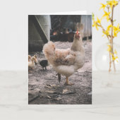 Sorry for being such a chook karte (Gelbe Blume)