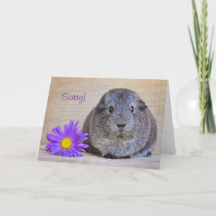 Sorry Guinea Pig Card Gerbera Daisy Karte
