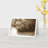 sorry karte (Gelbe Blume)